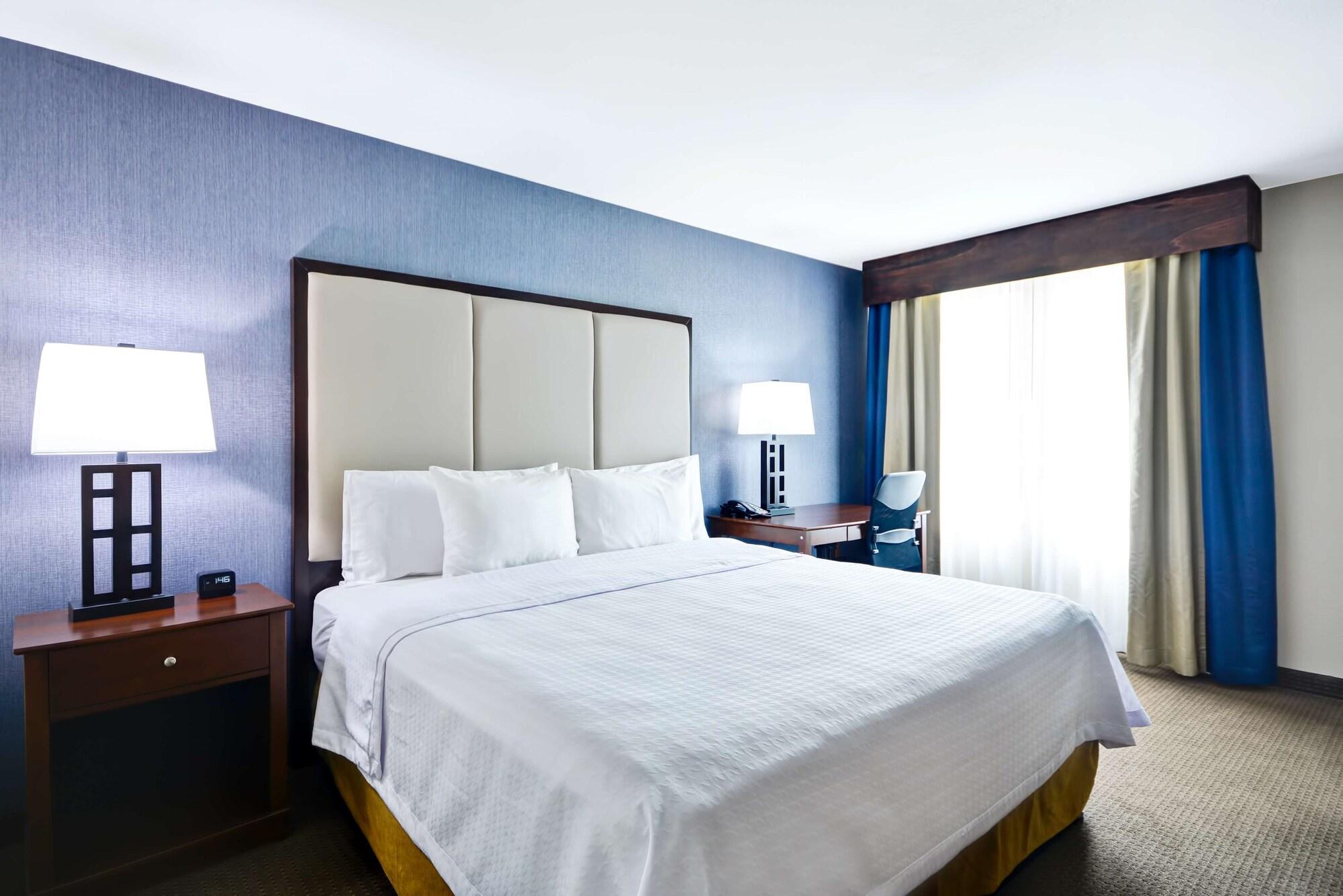 Homewood Suites By Hilton Dallas-Lewisville Exteriör bild